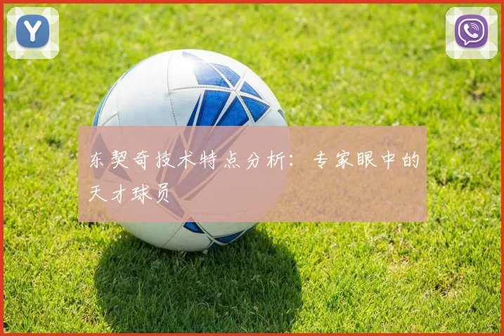 东契奇技术特点分析:专家眼中的天才球员