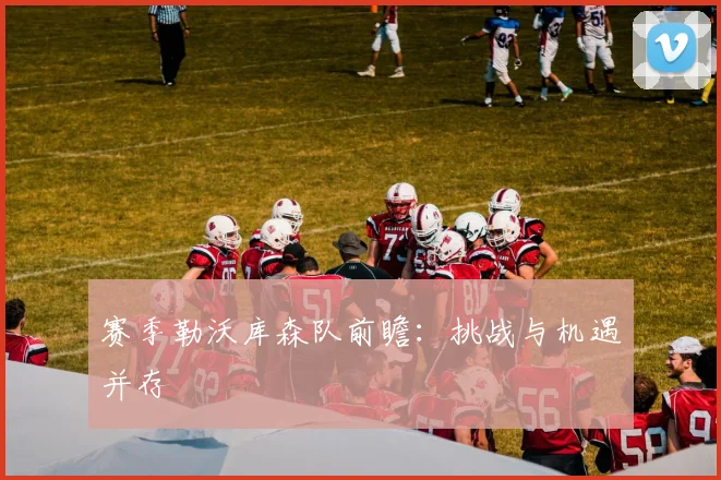 赛季勒沃库森队前瞻：挑战与机遇并存
