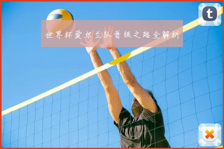 世界杯爱尔兰队晋级之路全解析