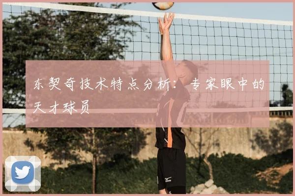 东契奇技术特点分析：专家眼中的天才球员