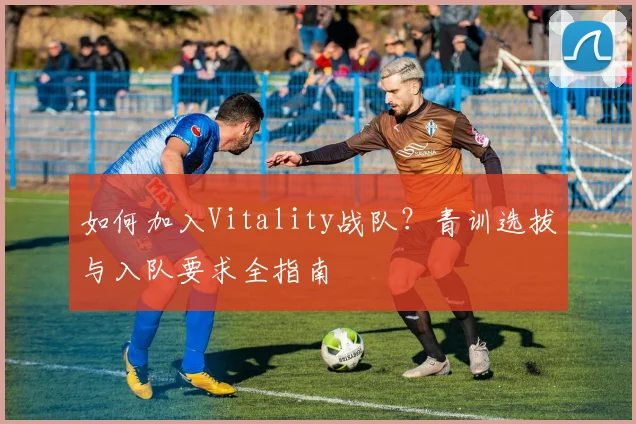 如何加入Vitality战队？青训选拔与入队要求全指南